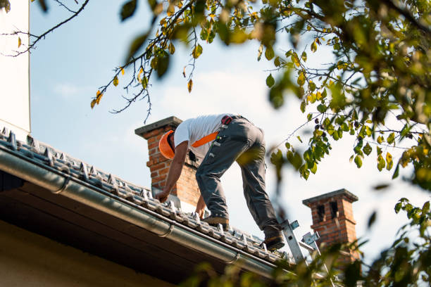 Best Flat Roof Repair Services  in Mililani Mauka, HI