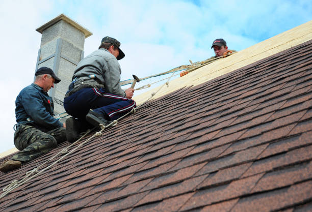 Best Storm Damage Roof Repair  in Mililani Mauka, HI